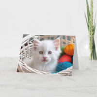Birthday Kitty In Yarn Basket
