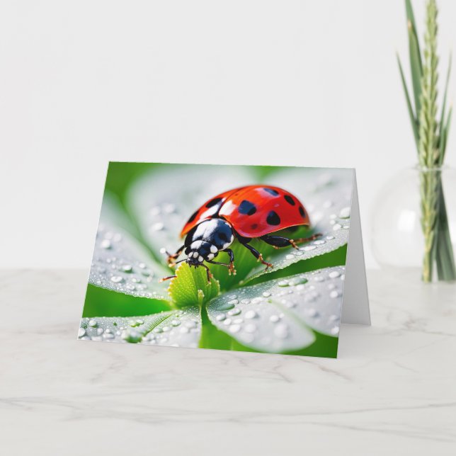Birthday Ladybug On 4 Leaf Clover Card (Front)