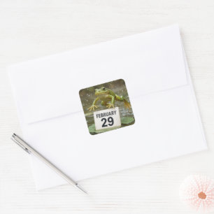 Birthday Leap Year Frog Square Sticker