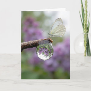 Birthday Lilacs Reflecting in a Raindrop  Card