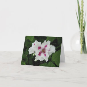 Birthday - Magenta-small Card