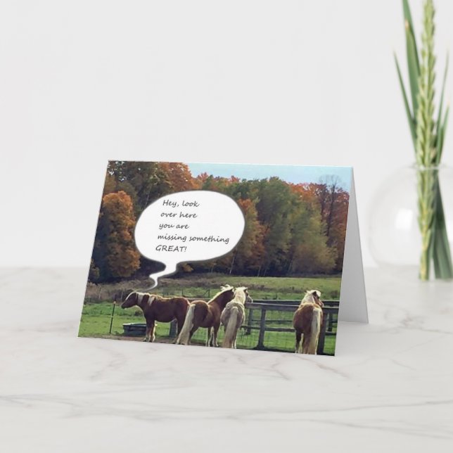 **BIRTHDAY MESSAGE** FROM SOME COOL HORSES CARD (Front)