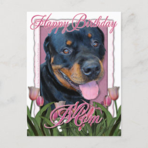 Birthday MOM - Pink Tulips - Rottweiler - Harley Postcard