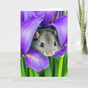 Birthday Mouse In Iris Flower Card