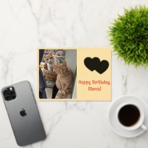 Birthday Name Day Children Ginger Cats Photo