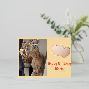 Birthday Name Day Children Ginger Cats Photo Foil Holiday Postcard