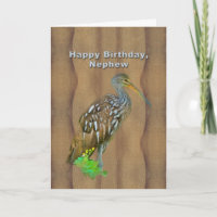 Birthday, Nephew, Limpkin Marsh Bird