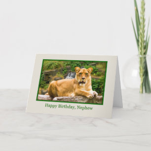 Birthday, Nephew, Lion on a Rock Card