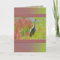 Birthday, Nephew,  Sandhill Crane Bird
