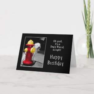 BIRTHDAY - ONE LUCKY DOG - HYDRANT/DOG CARD