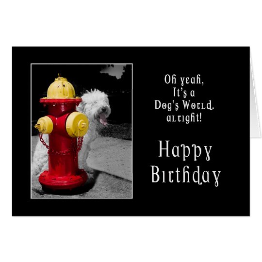 BIRTHDAY - ONE LUCKY DOG - HYDRANT/DOG CARD
