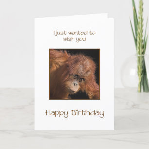 Birthday, Orang Utan Card