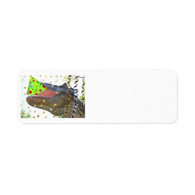 Birthday Party Animal Dinosaur (Front)
