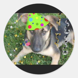 Birthday Party Animal German Shepherd Classic Round Sticker
