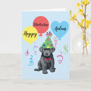 Birthday Party Balloons Bouvier des Flandres Card