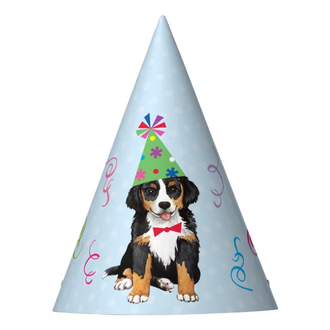 Birthday Party Berner Party Hat (Front)