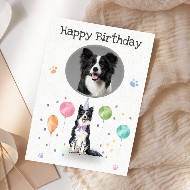  Birthday Party Border Collie Dog Animal Card (Creator Uploaded)