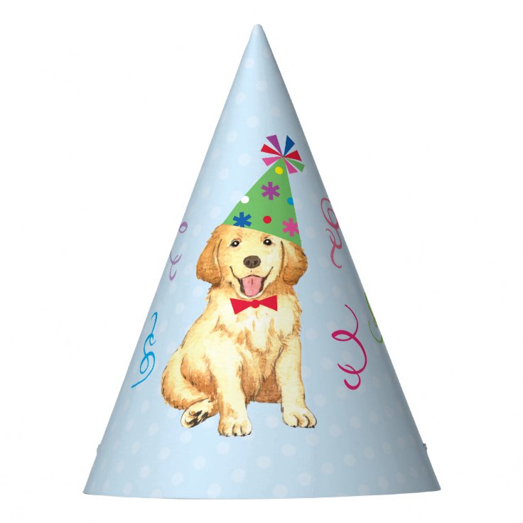 golden retriever birthday hat