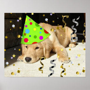 Birthday Party Golden Retriever Poster