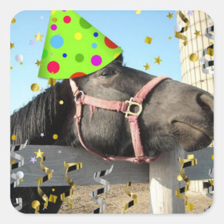 Birthday Party Horse Square Sticker