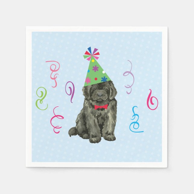 Birthday Party Newfoundland Napkins (Front)