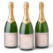 Birthday party night rose gold glitter women