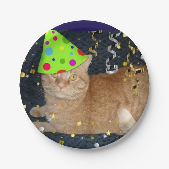Birthday Party Orange Tabby Cat Paper Plate (Front)