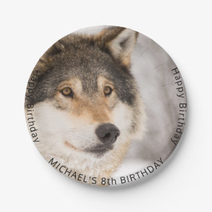 Birthday party wolf boy paper plate