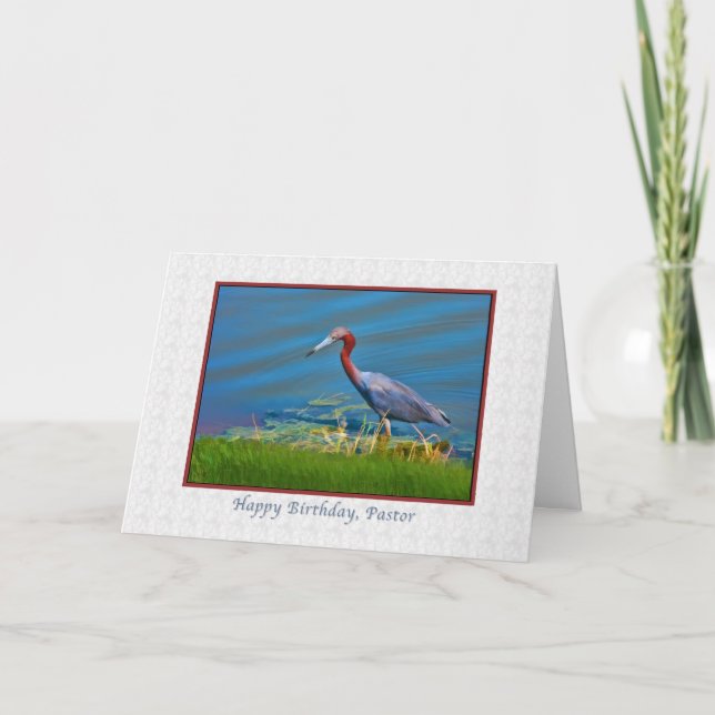 Birthday, Pastor, Little Blue Heron Card (Front)
