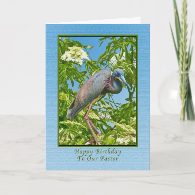 Birthday,  Pastor, Tricolored Heron in a Tree Card (Front)