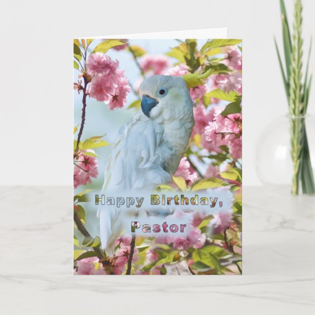 Birthday, Pastor, White Parrot in Crab Apple Tree Card (Front)