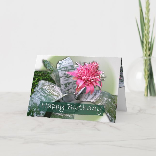 Birthday Pink Bromeliad Card (Front)