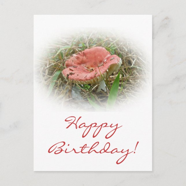 Birthday Pink Mushroom Postcard (Front)
