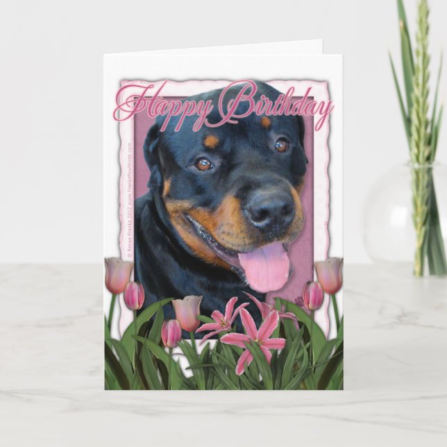 Birthday - Pink Tulips - Rottweiler - Harley Card (Front)