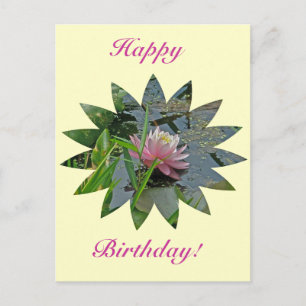 Birthday Pink Water Lily Postcard