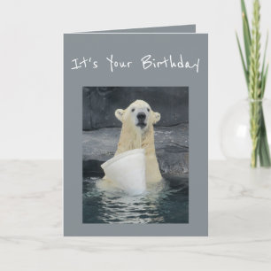 Birthday Polar Bear Bucket of Fun Humour Card