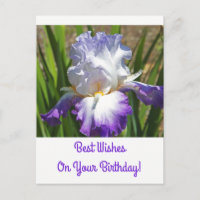Birthday Postcard/White and Purple Iris/Best Wish