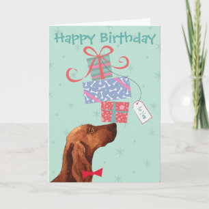 Birthday Presents Irish Setter Card