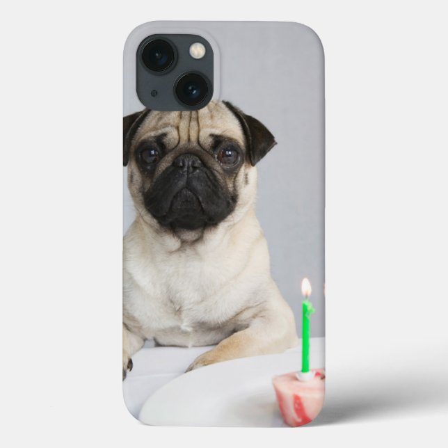 Birthday Pug Case-Mate iPhone Case (Back)