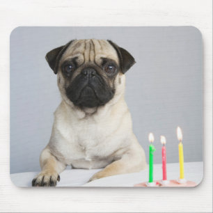 Birthday Pug Mouse Pad