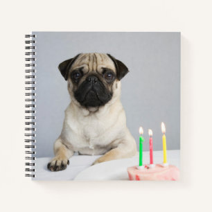 Birthday Pug Notebook