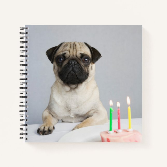 Birthday Pug Notebook (Front)
