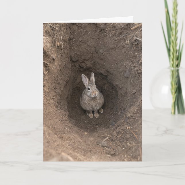Birthday Rabbit In Dirt Hole Card (Front)