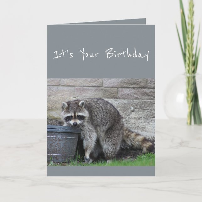 Birthday Raccoon Bucket of Fun Humour Card (Front)