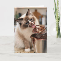 Birthday Ragdoll Cat Licking Mixer Beater