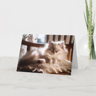 Birthday Ragdoll Kitten On Pillow Card