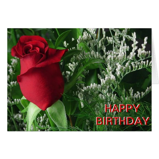 Birthday Red Rose Bud Card