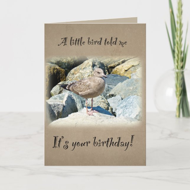 Birthday Seagull Card (Front)