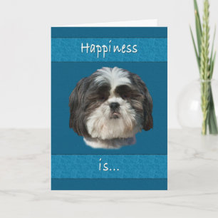 Birthday, Shih Tzu Dog Card