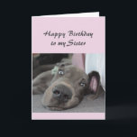 Birthday Sister Fun Dog definition of Relax Humor Card<br><div class="desc">Happy Birthday Sister  definition of Relax Humor Greeting with cute relaxing Great Dane Dog</div>